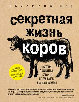 Розамунд Янг - Секретная жизнь коров. Истории о животных, которые не так глупы, как нам кажется