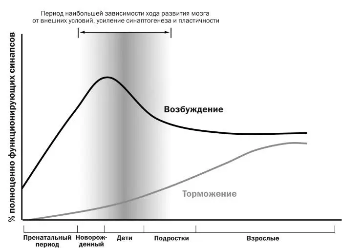 РИСУНОК 8 Детский мозг имеет больше возбуждающих чем тормозных - фото 9