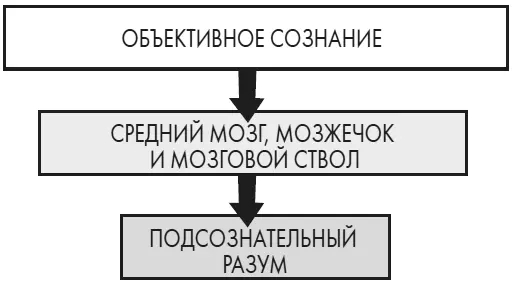 Рис 23Б Две операционные системы мозга На рис 23A и 23Б простая схема - фото 5