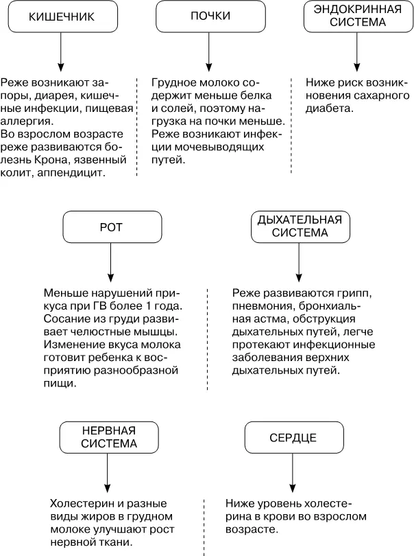 Факты о кормлении грудью Кормить ребенка грудью может любая женщина - фото 3