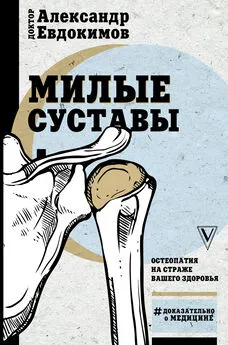 Александр Евдокимов - Милые суставы. Остеопатия на страже вашего здоровья