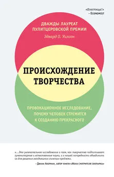 Эдвард Уилсон - Происхождение творчества. Провокационное исследование: почему человек стремится к созданию прекрасного