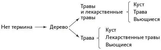 Вообще трава любопытная категория в английском почти не употребляются - фото 5