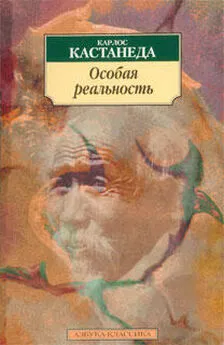 Карлос Кастанеда - Особая реальность (перевод Останина и Пахомова)