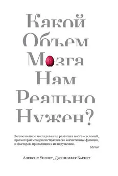 Алексис Уиллет - Какой объем мозга нам реально нужен?