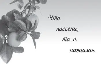 Все что вы делаете независимо от ваших целей обязательно должно начинаться с - фото 2