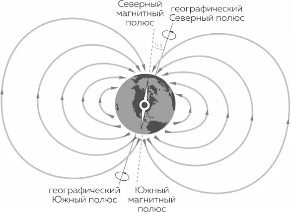 Рисунок 11 Магнитное поле Земли Линии выходящие из каждого полюса изображают - фото 1