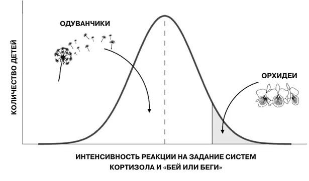 Распределение реакций на стандартизированные лабораторные задания систем - фото 5