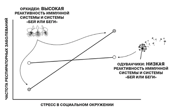 График демонстрирующий частоту респираторных заболеваний у детей в зависимости - фото 7