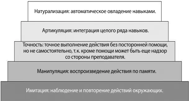 Источник Dave RH 1970Psychomotor Levels in Armstrong RJ ed - фото 15