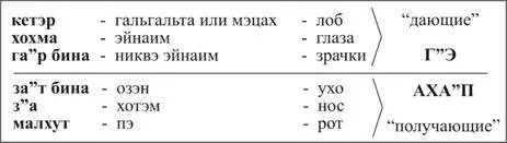 Сама малхут и есть творение эгоистическое желание получить наслаждение - фото 11