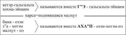 Малхут ограничила распространение света в парцуфе и образовались 2 части в - фото 14