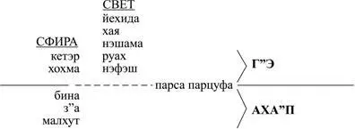 Такая ступеньпарцуф лишена света нэшамахаяйехида и остается только со светом - фото 15