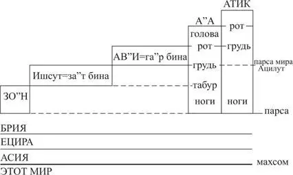 Хотя гар бина находятся ниже головы АА но считаются будто не вышли из нее - фото 21