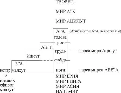 АА это центральный парцуф мира Ацилут Потому как Атик непостигаем то все - фото 22