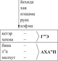 Подъем алия человека может быть как следствие а возбуждения в нем желания - фото 24