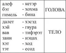 Тело получает только то что нисходит в него с головы Поэтому далет начальная - фото 34