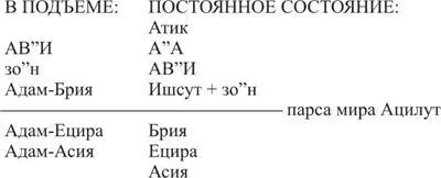 В других источниках например в Талмуде Бава Батра 58 2 это описывается - фото 37