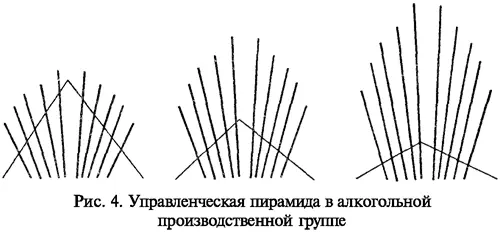 На рис 4 наглядно видно что пирамида начинает принимать не вид дерева - фото 4