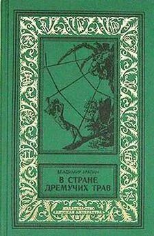 Владимир Брагин - В Стране Дремучих Трав