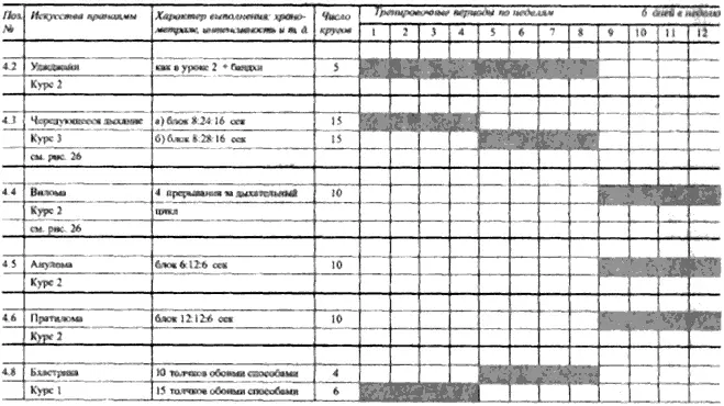 Рис 33 Урок 4 Расписание тренировки Урок 5 Программа первых 12 недель По - фото 39