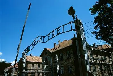 Освенцим I Auschwitz Освенцим II Birkenau Проект лагеря на 100 000 - фото 2