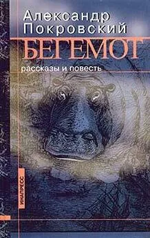 Александр Покровский - Как там страна (сборник рассказов)