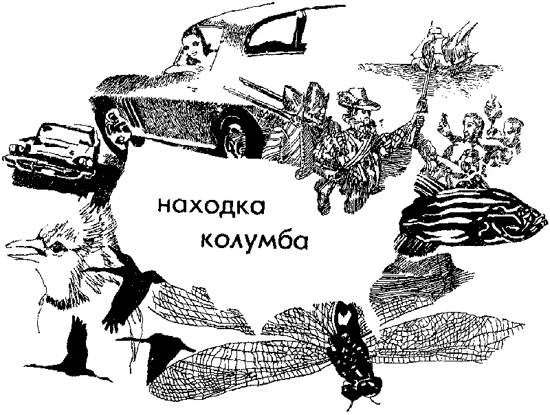 Девственная земля Забавно представить на Земле нет Америки Европа Африка - фото 9