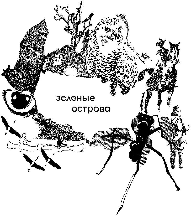 Пешком по штатам Было у нас по Америке пешее путешествие Небольшое правда - фото 10