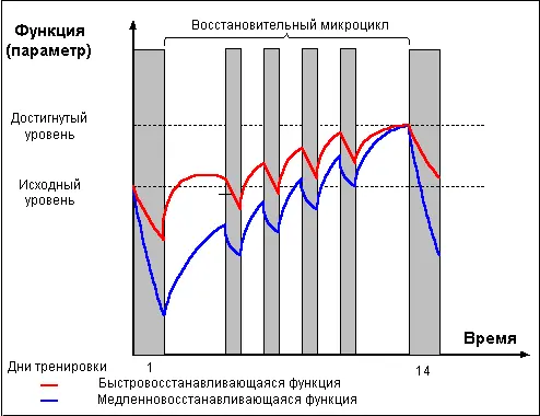 Рис 3 Ударный микроцикл может состоять из нескольких высокоинтенсивных - фото 20