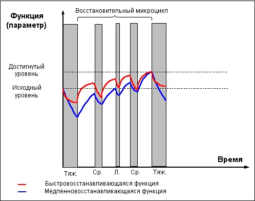 Рис 4 Часть 7 Принципы чередования ударных и восстановительных микроциклов - фото 21