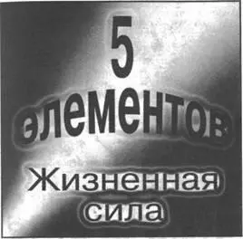 Если например пятый элемент человек в трехмерном мире недееспособен то - фото 199