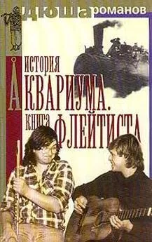 Андрей Романов - История Аквариума. Книга флейтиста