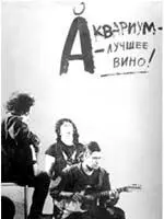 История Аквариума Книга флейтиста - фото 8