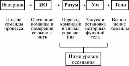 ИО пребывает в полном сознании Никакого гипноза нет Но с непривычки ИО - фото 7