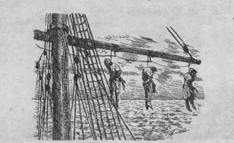 В начале декабря 1787 года корабль его величества Баунти вооруженный - фото 8