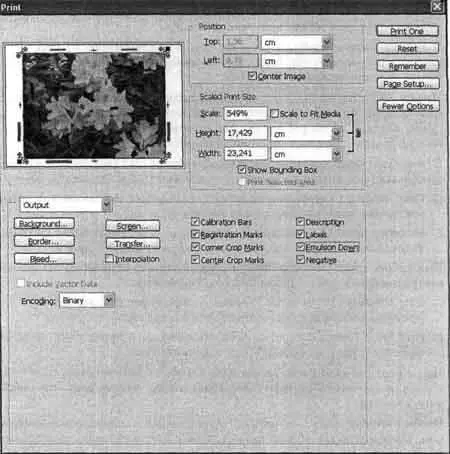 Рис 208 Диалоговое окно команды File Print With Previewпри выборе режима - фото 79