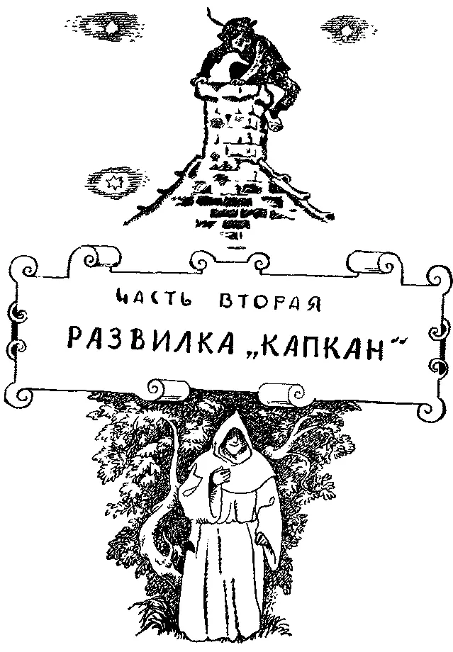 СТАРАЯ МЕЛЬНИЦА Мы мчались через кустарник царапая в кровь руки и лица - фото 15