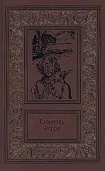 Габриэль Ферри - Лесной бродяга