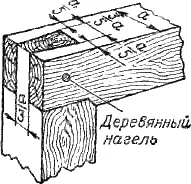 Рис 78 Прорезная лапа Прорезная лапа рис 78 отличается от прорезного - фото 84