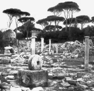 Руины римской виллы в Ливане В облике финикийских городов появились типично - фото 83