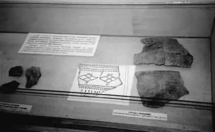 Рис 15 Космотворящая лебедьптица с ромбическим туловищем на ямальской - фото 18
