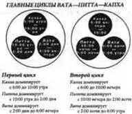 Но согласно Аюрведе существуют основные циклы которые можно определить в - фото 5
