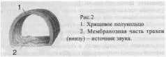 Этот процесс как это доказал Р Юссон 1950 регулируются центральной нервной - фото 4
