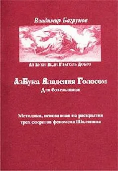 Владимир Багрунов - Азбука владения голосом для болельщика