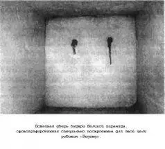 В марте 1993 года Гантенбринк послал Упуаут изучить таинственную шахту - фото 79