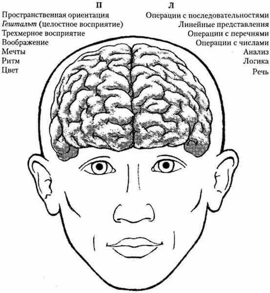 Исследования Орнстайна Зейделя Блоха и других впоследствии подтвердили эти - фото 2