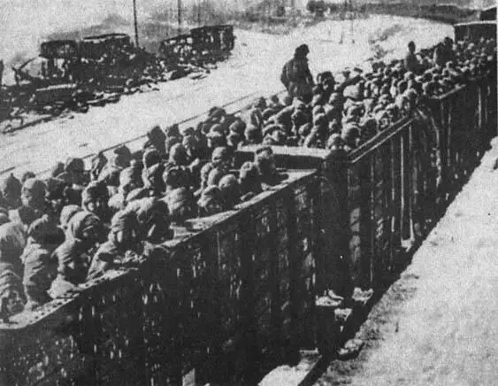 Зимой советских военнопленных перевозили в открытых вагонах для скота - фото 28