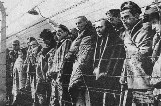 Окончательное решение еврейского вопроса стало последствием нацистской - фото 34