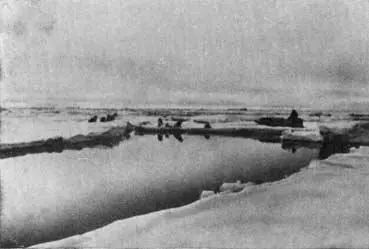 Прокладывание пути через разводье Сезон таяния лед пропитанный водой - фото 12